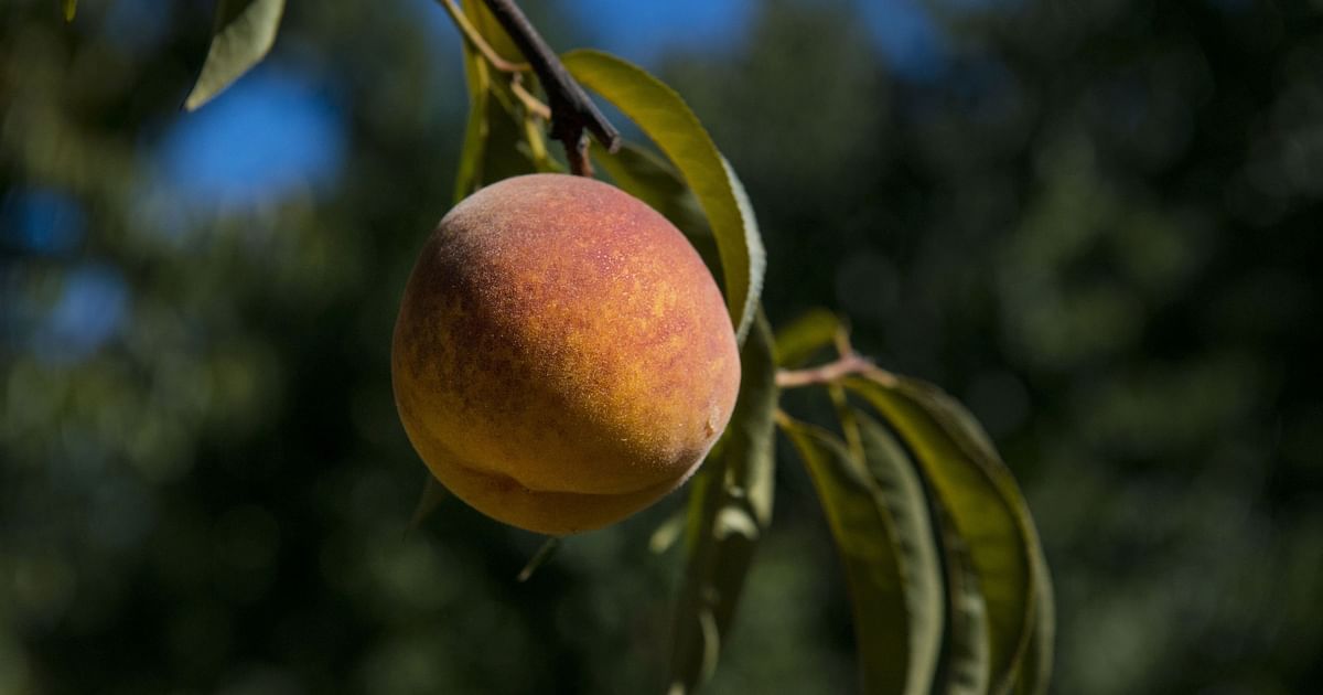 All You Need To Know Going Into Trade On January 28