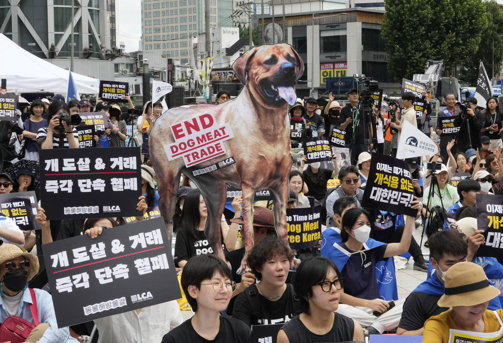 Dog Meat Trade Faces Growing Criticism in South Korea. But Banning It Isn&rsquo;t So Easy